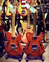 Charlee Guitars